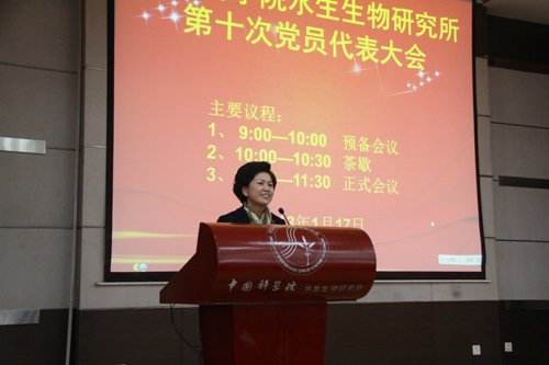 武汉分院党组书记陈平平等出席了会议