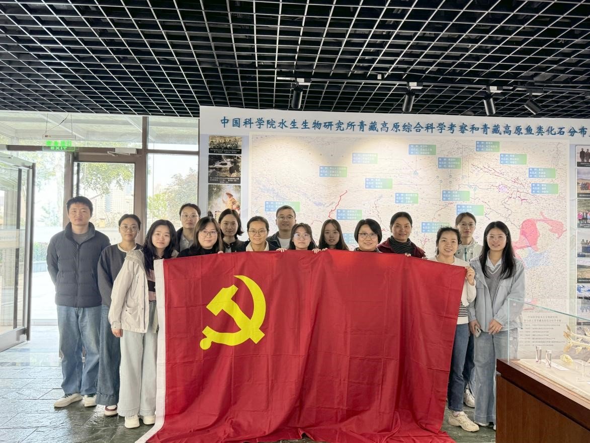 建功支点我争先”主题党日活动
