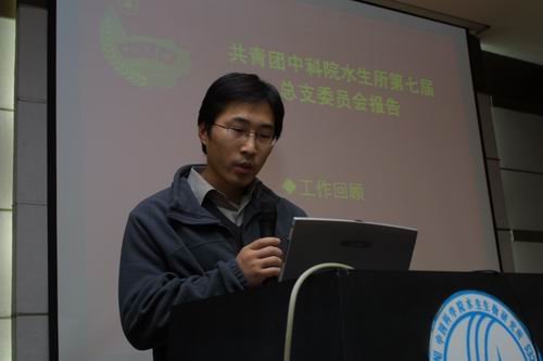 作者：张晓良