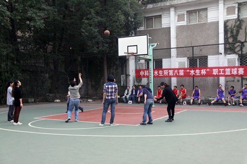 作者：孙慧
