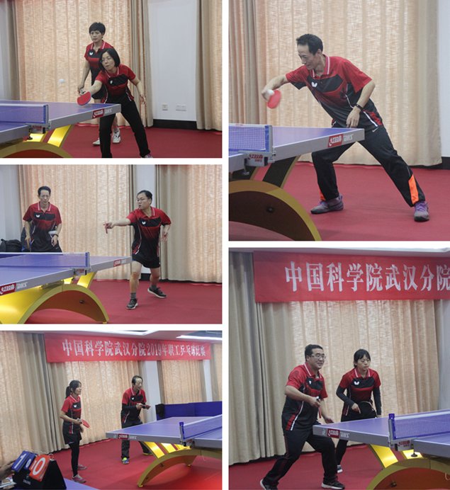 水生所获2019年武汉分院职工乒乓球