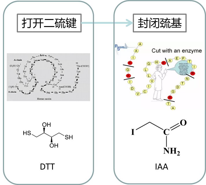 目前基于质谱的蛋白质组学分析中应用最