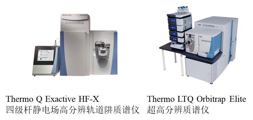 将等量蛋白酶解成肽段