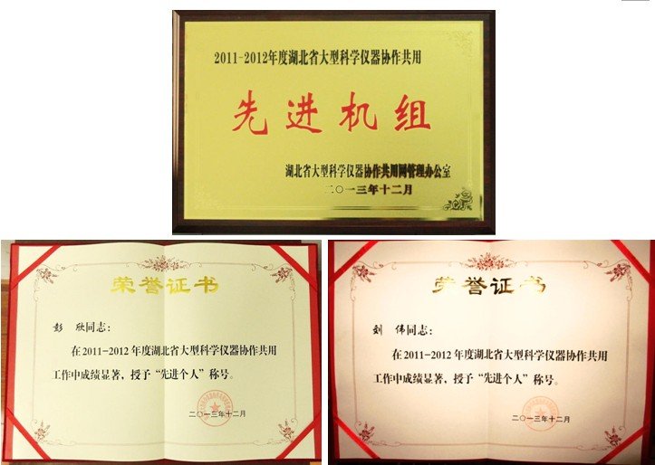湖北省科技厅的指导下