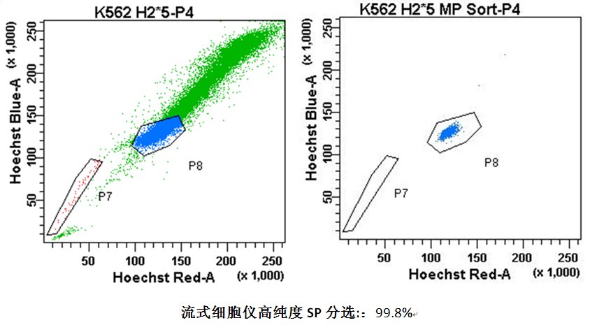 High Speed Sorting