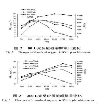 仪器名称:光养生物反应器
