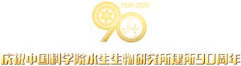 星空体育彩票