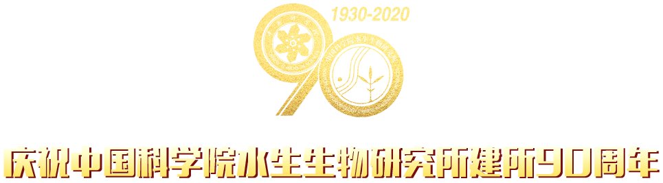 星空体育彩票