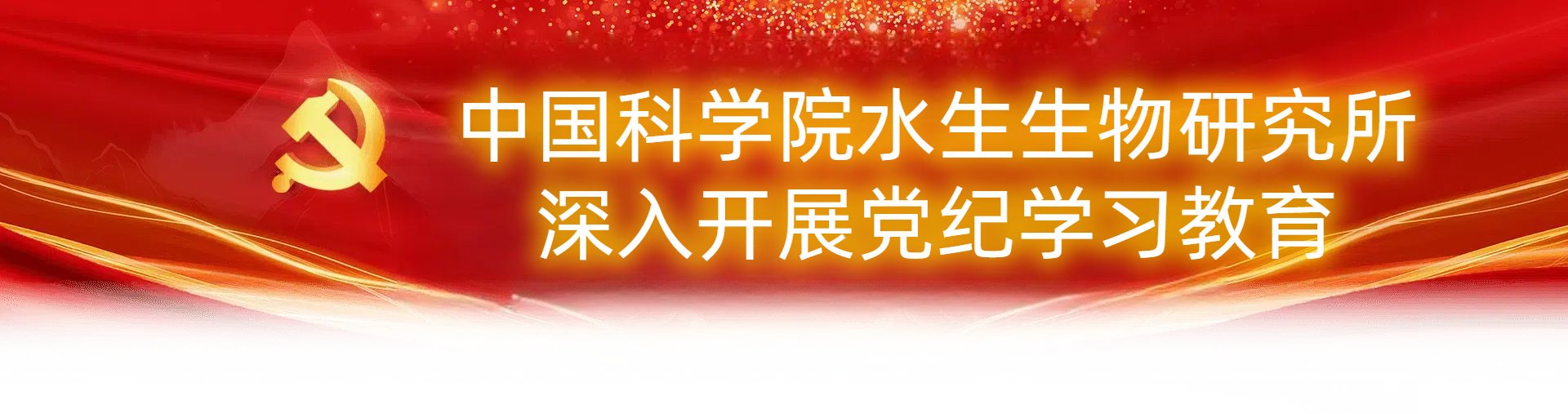 习近平在二十届中央纪委三次全会上发表