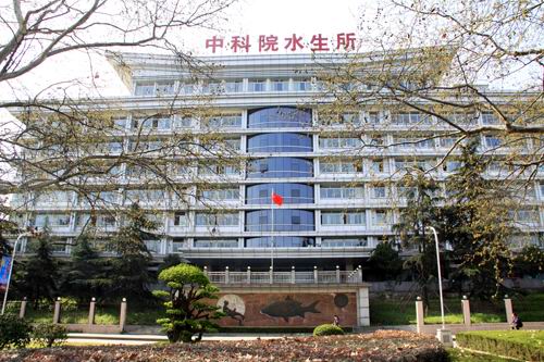 星空体育彩票官网玩法说明(以下简称水