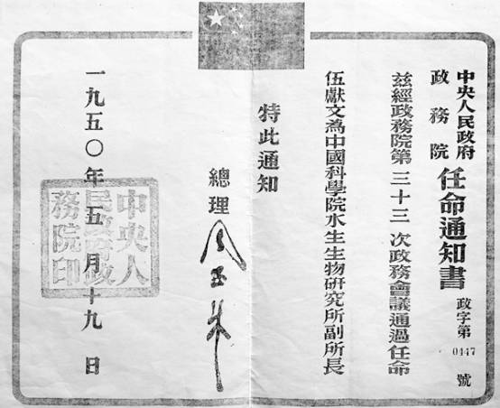 一个偶然的机会