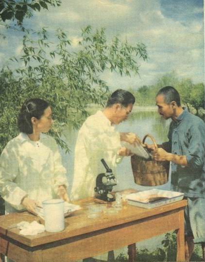 1955年《人民画报》4月号《防治鱼