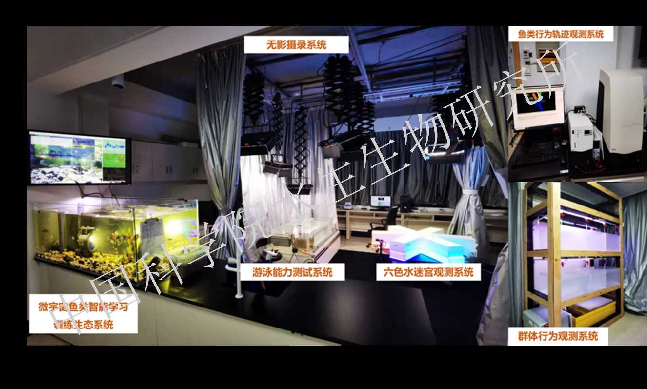 湖北省农业科星空体育彩票正版官网农产