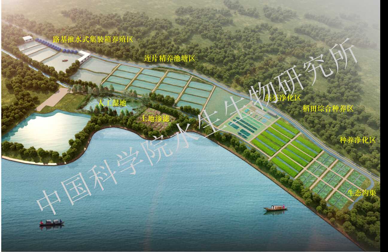 实验室立足湖北省现代渔业产业链创新的