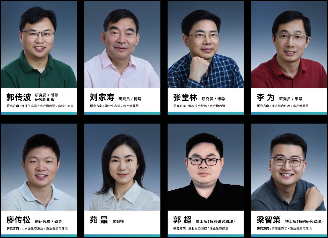 研究组组长