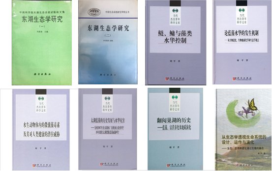 从左到右