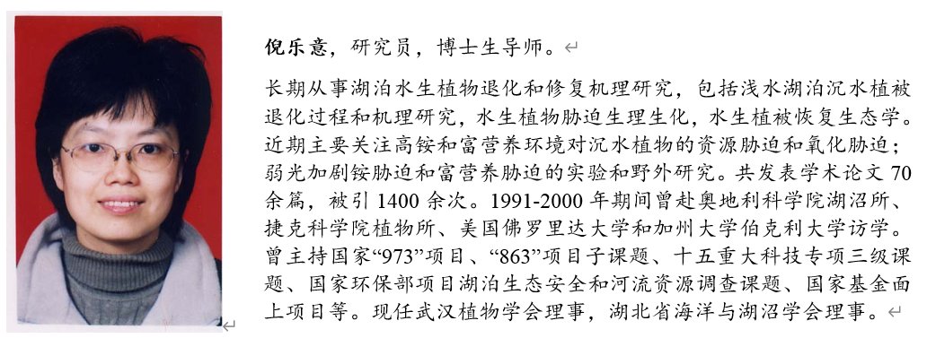 特别研究助理
