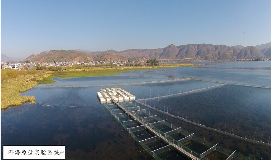 水生生物多样性与水生态环境保护研究中