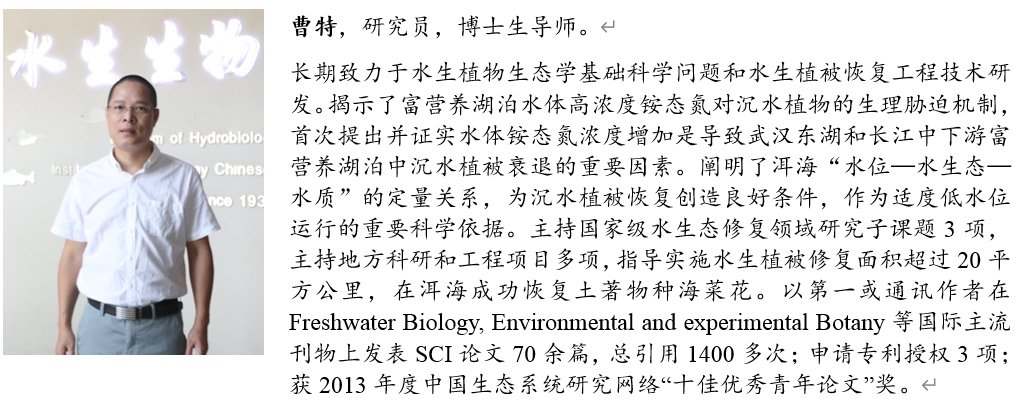 研究组成员