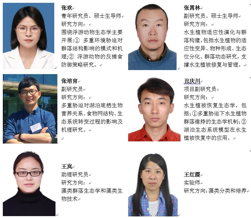 项目聘用人员