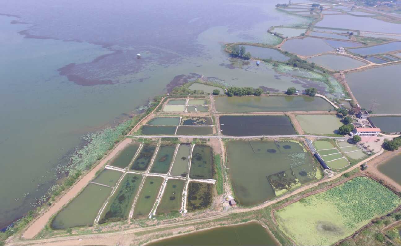 保安湖实验湖沼学研究站(简称保安湖研