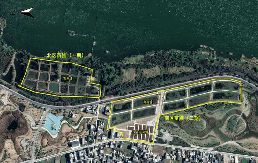 下辖位于大理市上关镇大营村的水生植物