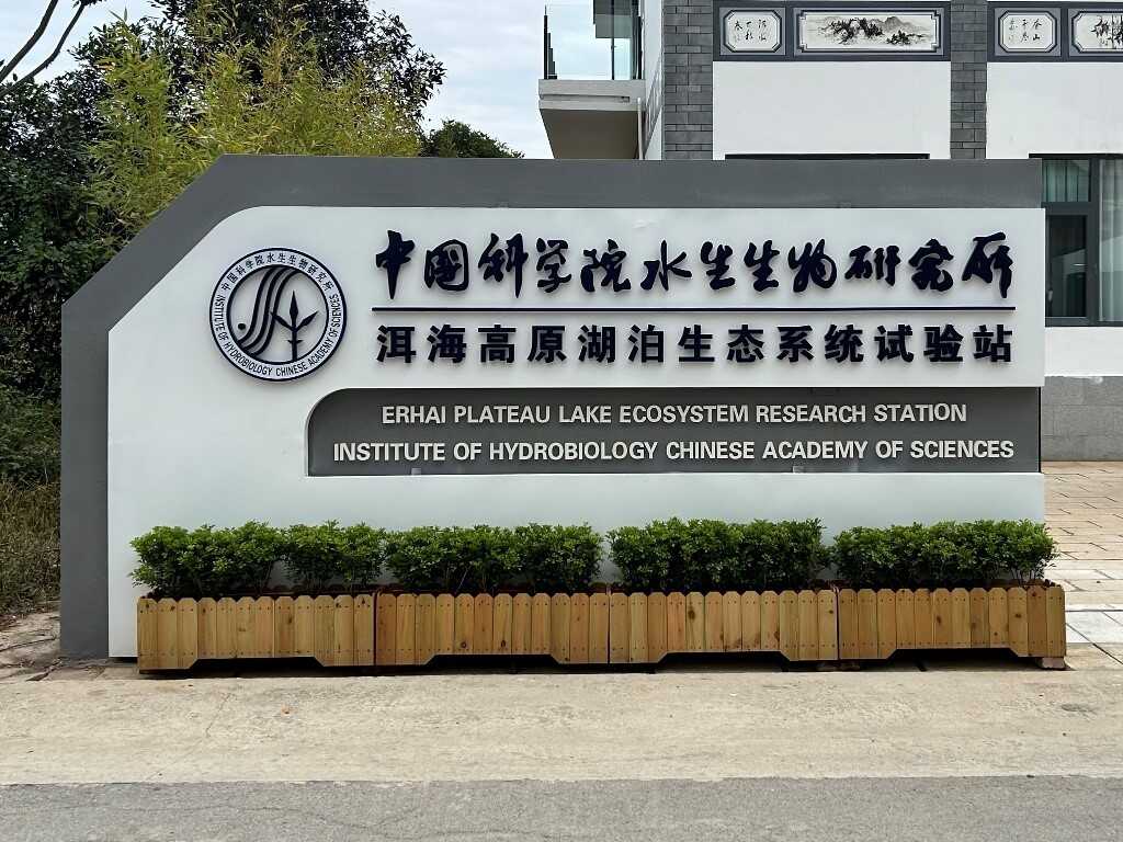 自上世纪50年代开始