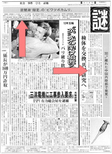 国际原生动物学领域的重要期刊德国《欧