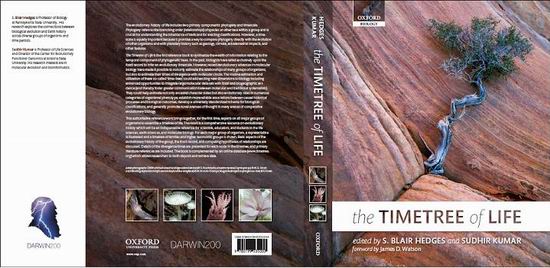 水生所学者参与撰写《The Time