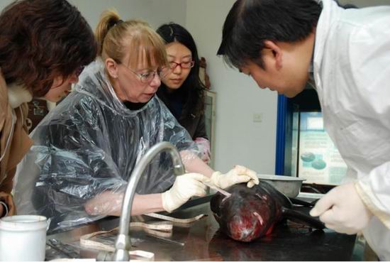 美、俄著名科学家来水生所合作研究长江江豚
