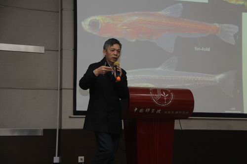 新加坡国立大学洪云汉教授到水生所进行