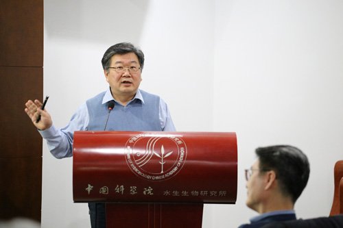 杨琳 图
