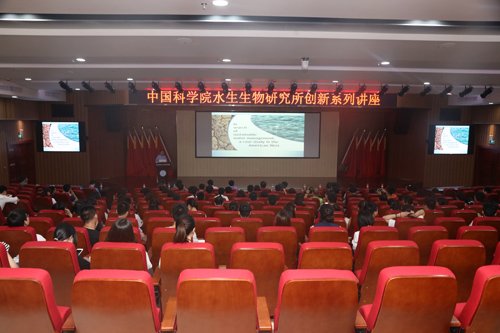 作者：胡建成