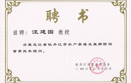 作者:张晓良