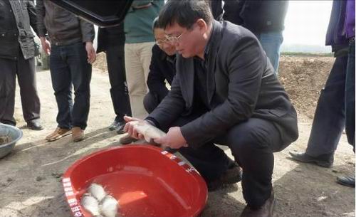 水生所桂建芳研究员在江苏淮安指导“中