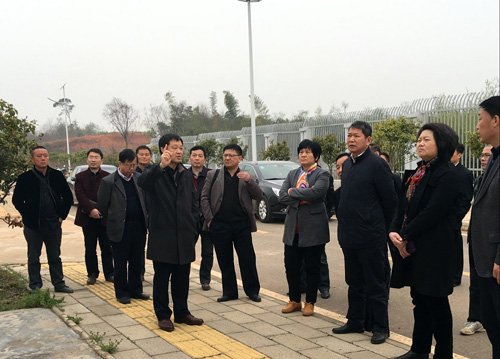 江夏区政协主席张敏一行调研武汉现代生