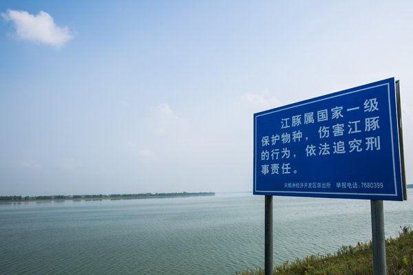 将是下一个消失的“微笑天使”