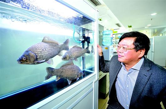 【湖北日报】图文