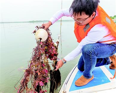 【湖北日报】梁子湖为野生鱼建“人工产