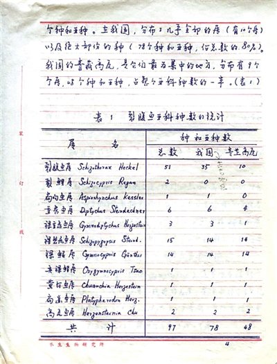 作者:付震宇