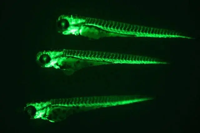 其实神舟十八号任务期间