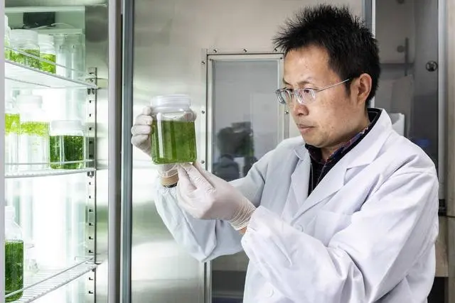 实现了中国在太空培养脊椎动物的突破