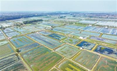 大力推动渔业“蓝色转型”