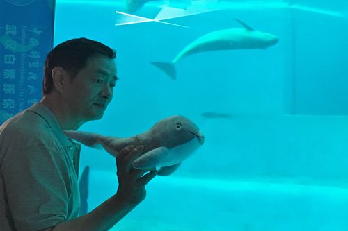 濮存昕来白鱀豚馆拍摄保护江豚宣传片