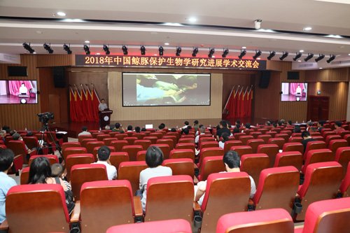 作者：文：刘馨，图：孙慧