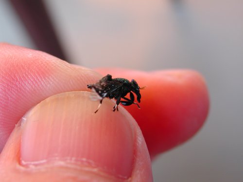 自然景观和生物多样性
