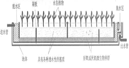 湿地是可能大家对它都不会感到陌生