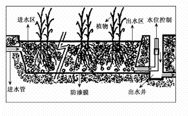 ）这个名词