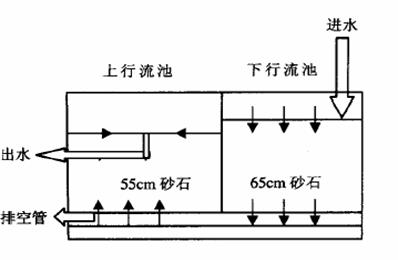 起着净化水质