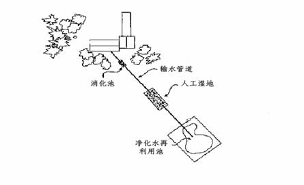 在地球的物质与能源的“新陈代谢”中